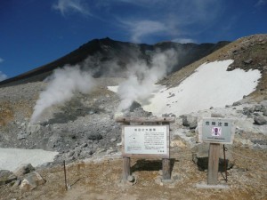 P1050244