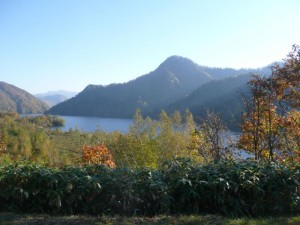 P1050826