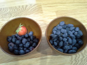 links: Blaubeeren, rechts: Haskap